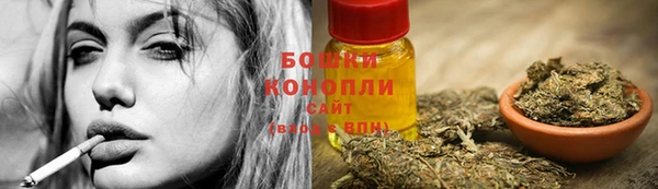 индика Белокуриха
