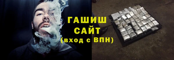 индика Белокуриха