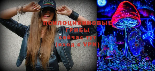 индика Белокуриха