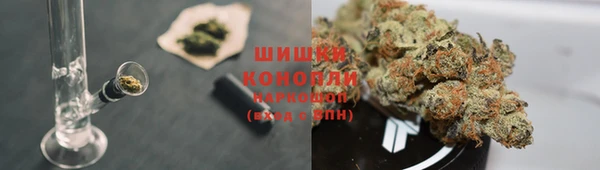 индика Белокуриха