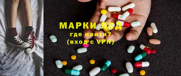 индика Белокуриха