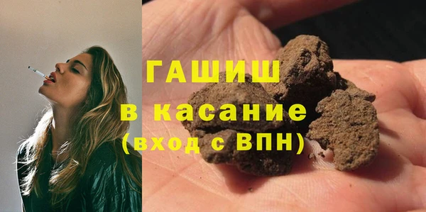 индика Белокуриха